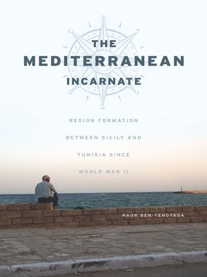 cover image of The Mediterranean Incarnate
